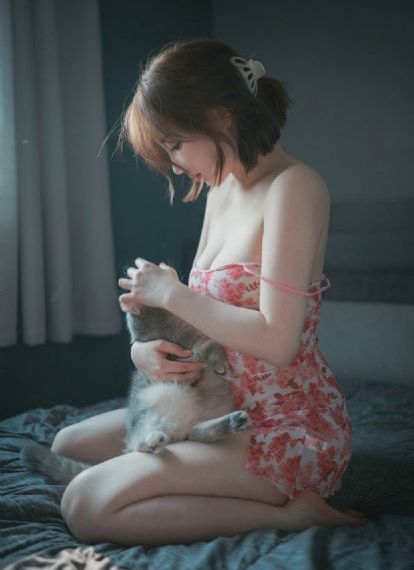 《特种兵之火凤凰》电视剧