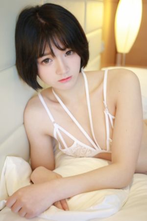 葬送的芙莉莲免费观看