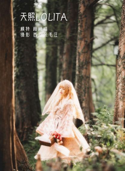 我的黑帮大佬第一季完整版免费