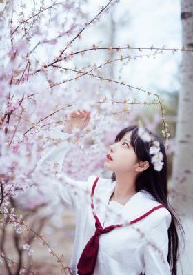 战狼3免费播放在线观看12集高清